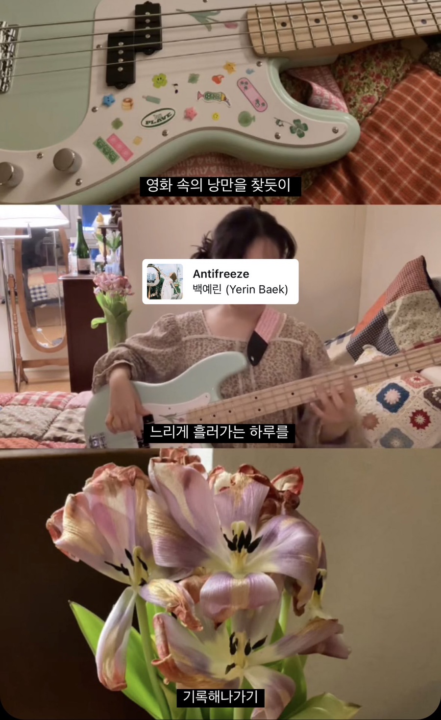 낭만고냥이 이미지
