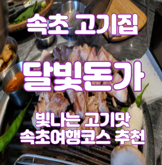 달빛돈가 이미지