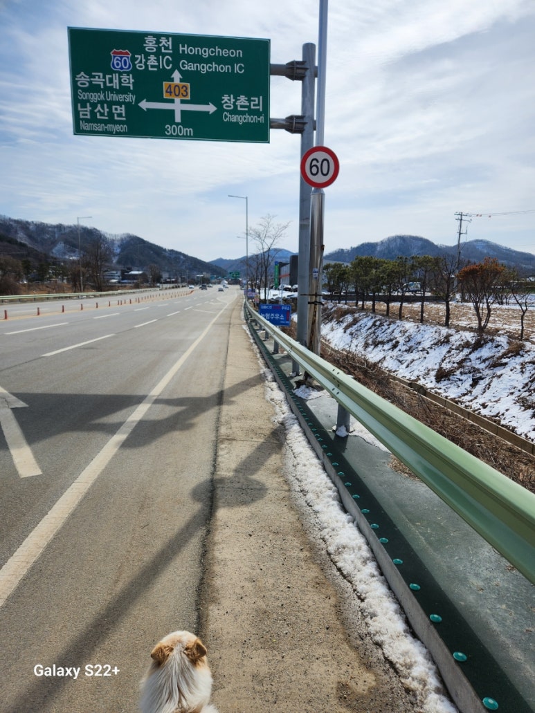 춘천농협하나로마트(본점) 이미지
