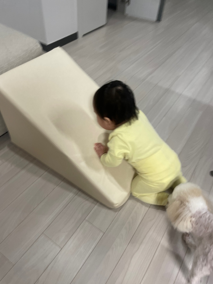 보정당 이미지