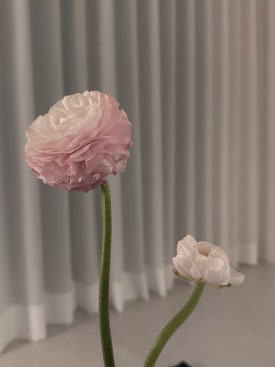 시유하다(siyuhada) 이미지