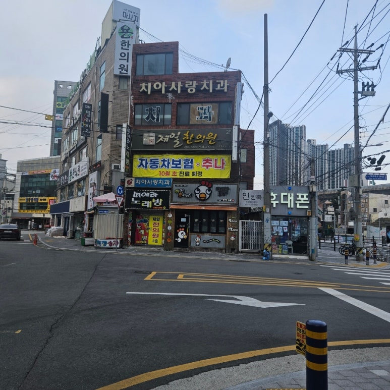 마후닭 이미지