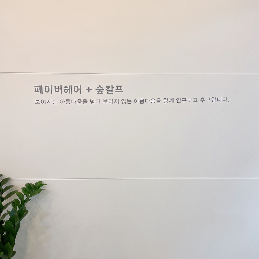 페이버헤어 이미지