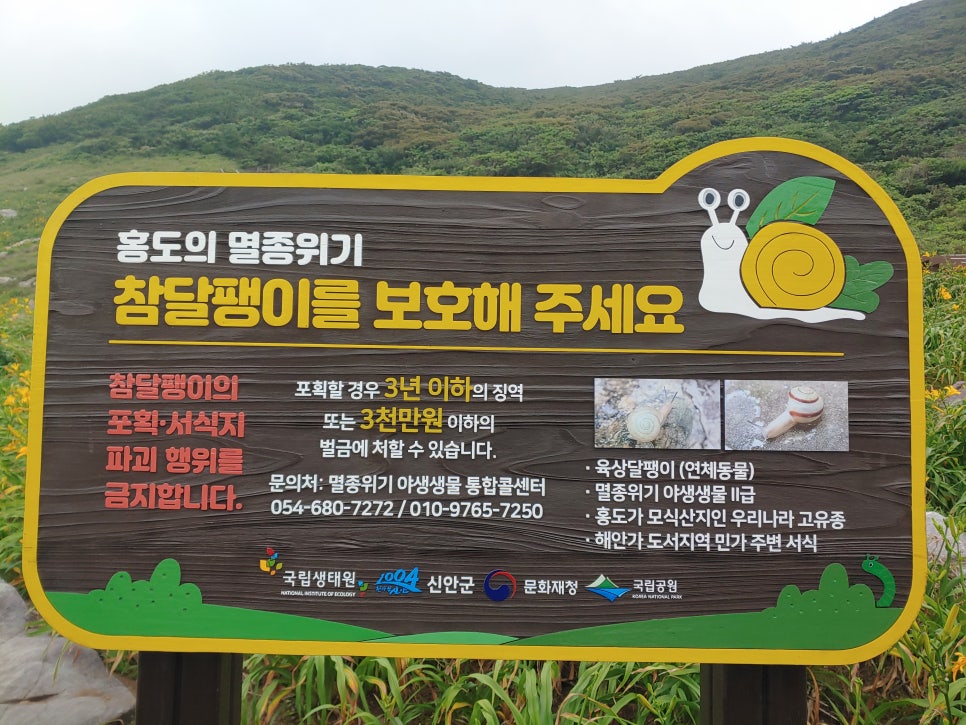 참간판 이미지