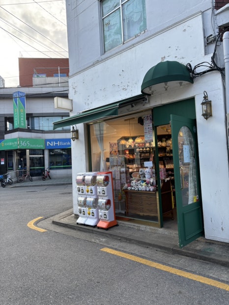 바바포레스트 이미지