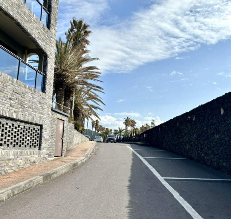 IMG 7715