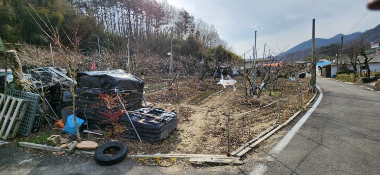 그리고과수원 이미지
