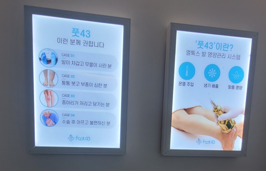 사하풋 이미지
