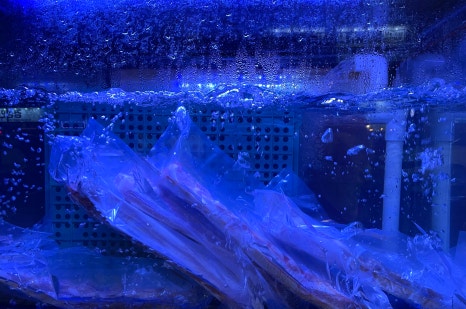 꿈돈 168 동산점 이미지