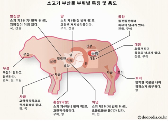지금;양곱창 이미지