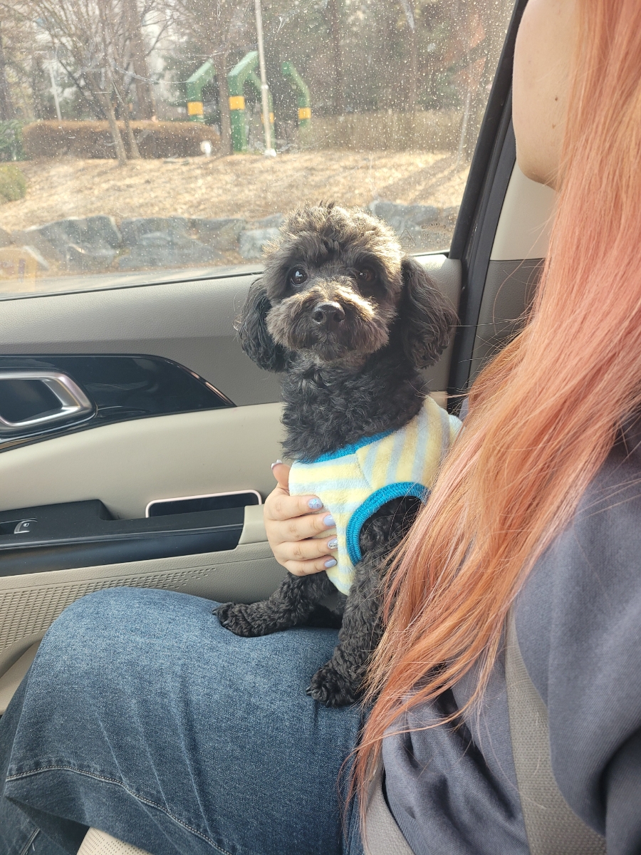 코코실버(주) 이미지