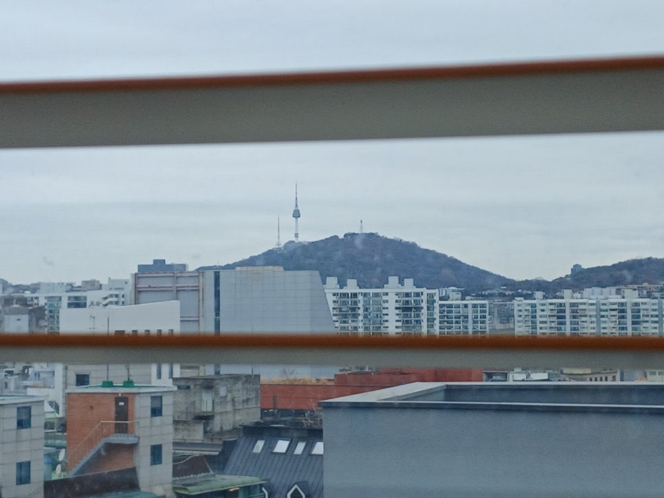 다니부띠끄 이미지