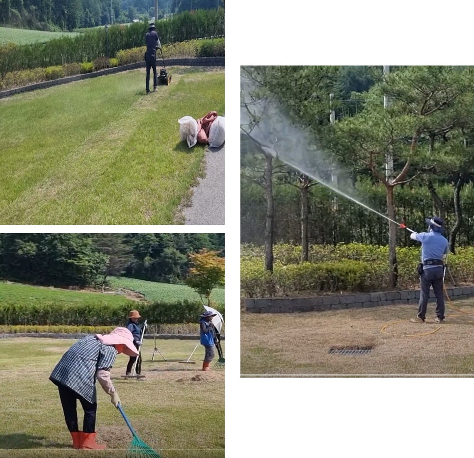 믿음조경청소 이미지