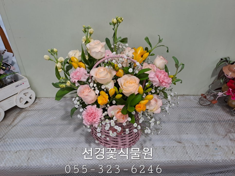 화원간호학원 이미지