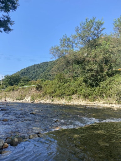 유명산밸리캠핑장 이미지
