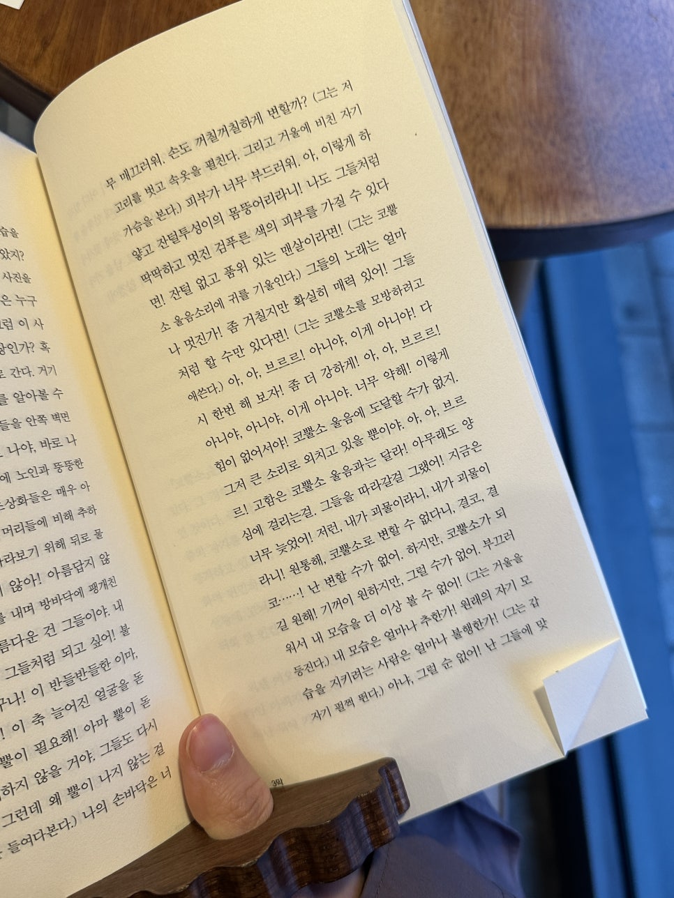 이오네스크 이미지