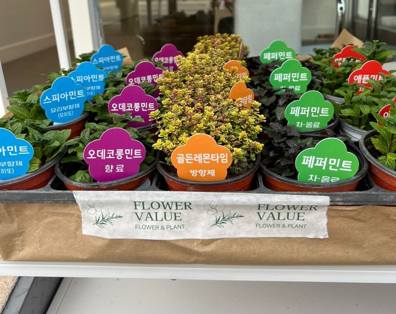 꽃집밸류 이미지