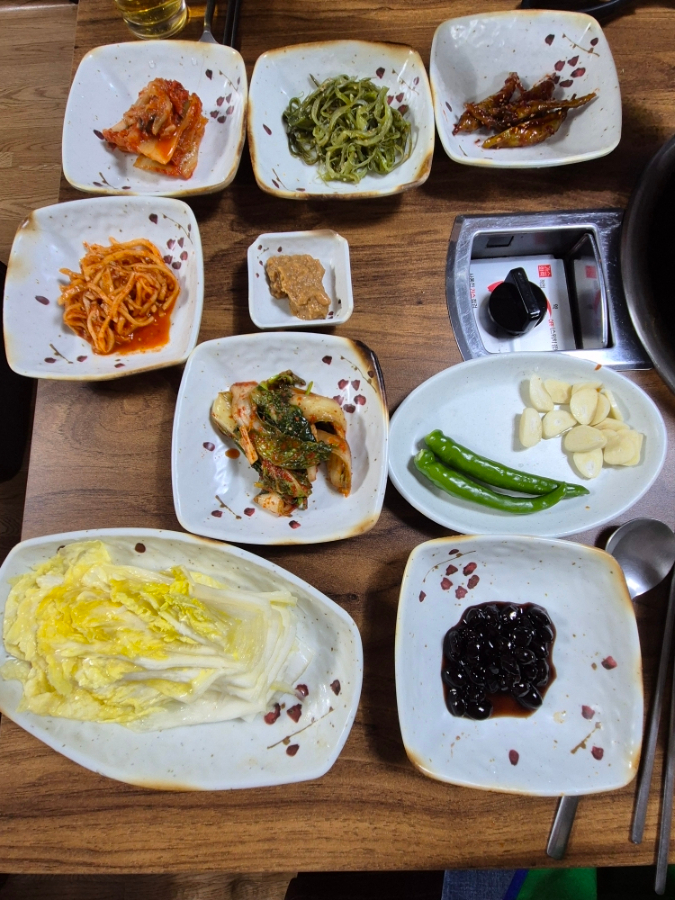 둥지생오리 이미지