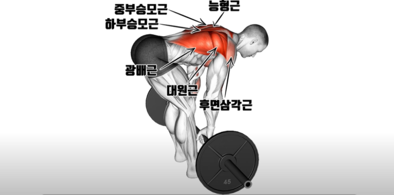 (주)바벨 이미지