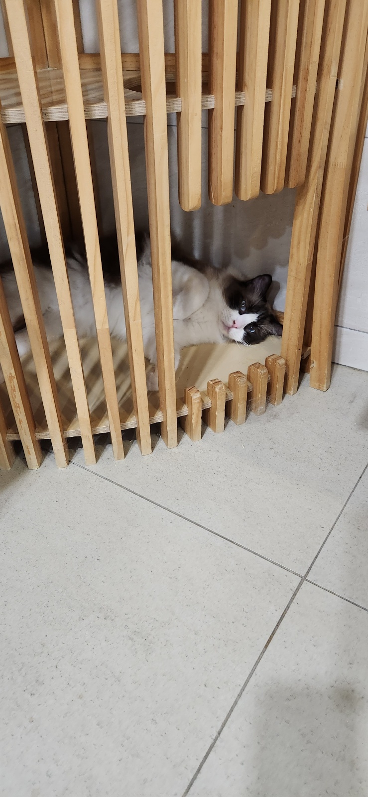 카페앤드스토리 이미지