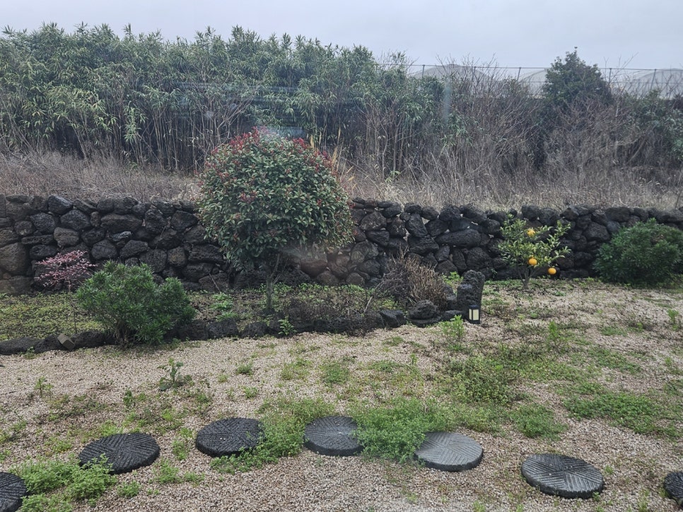 윤서네펜션 이미지