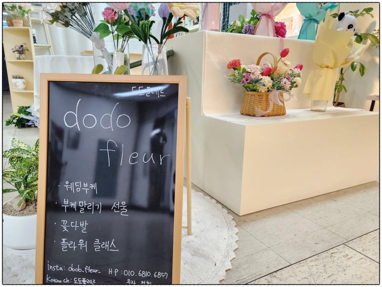 도도플레르 이미지