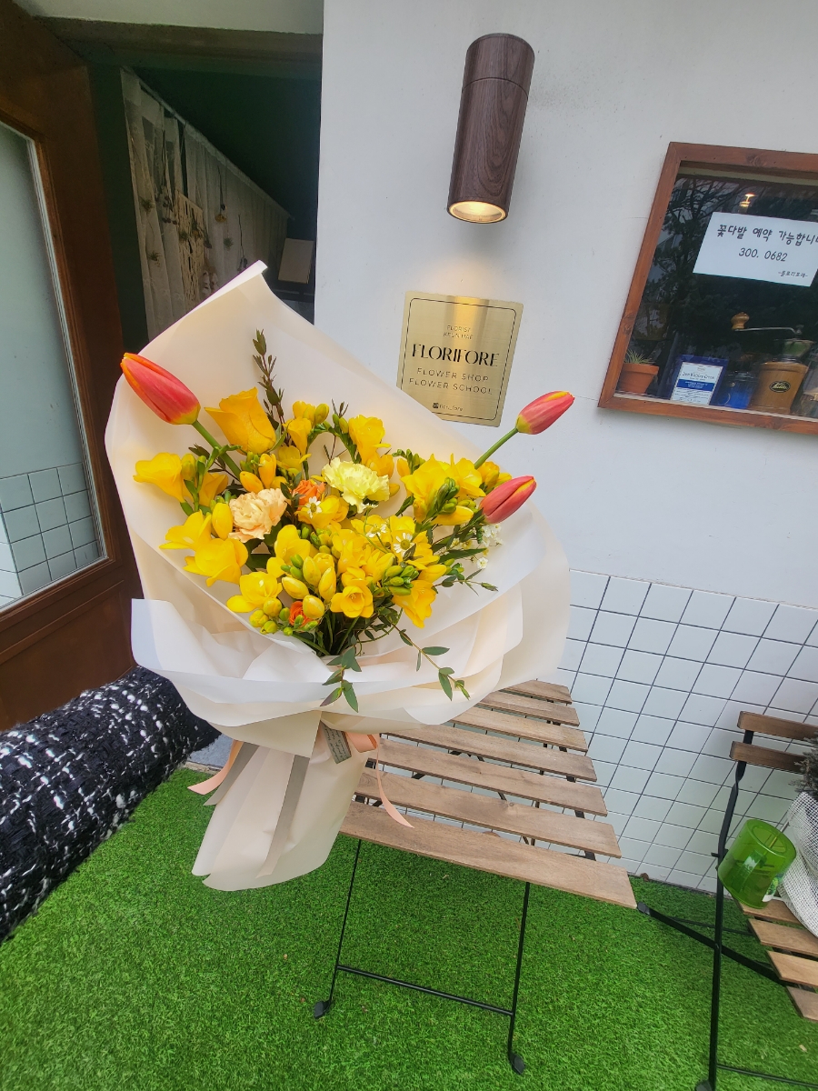 플로리포레 이미지