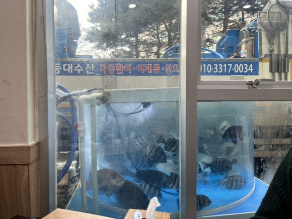 용호수산 이미지