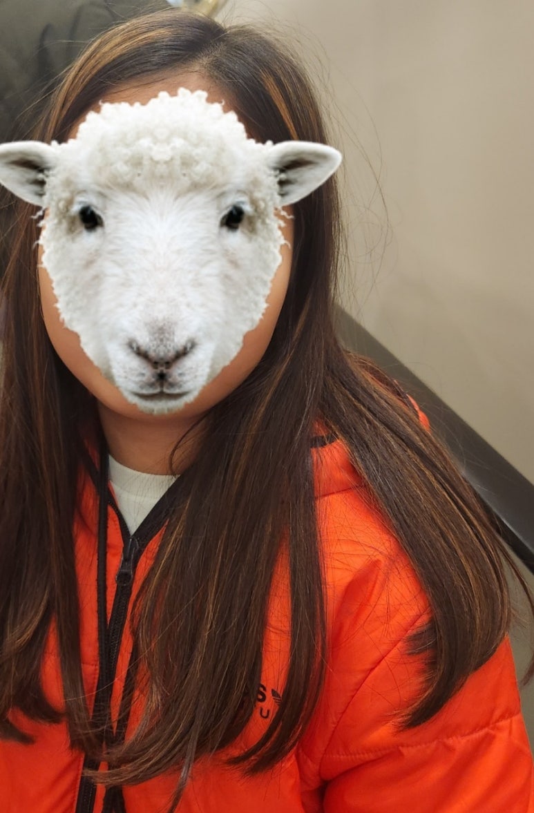 에이치린 이미지