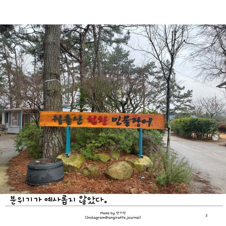 월출산힘찬장어 이미지