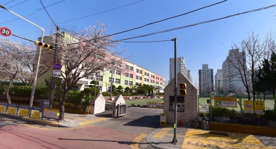 서울대청초등학교 이미지