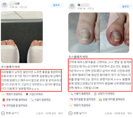 레푸스전주 이미지