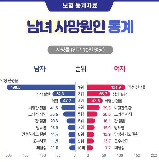 헬스퀸 이미지