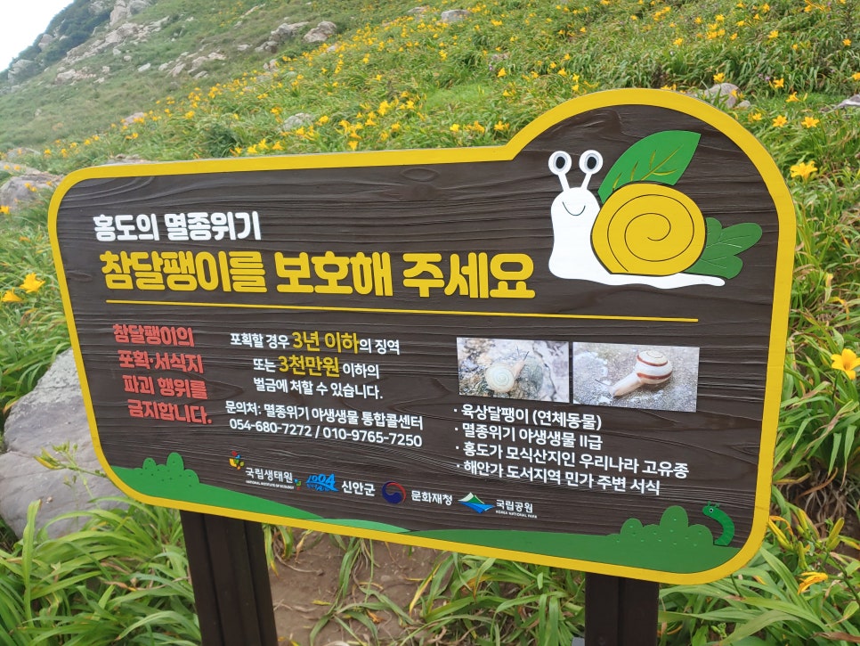참간판 이미지