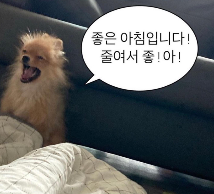 하나엠투어 이미지