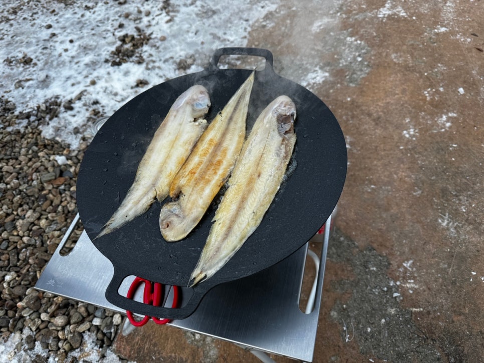 다리안관광지 데크야영장 이미지