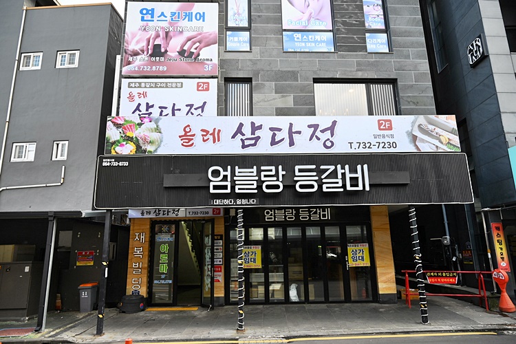 올레삼다정 이미지