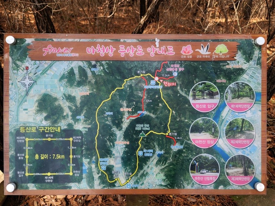 비벨라핏 이미지