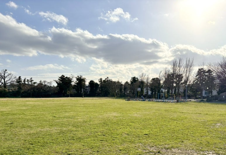 IMG 7751