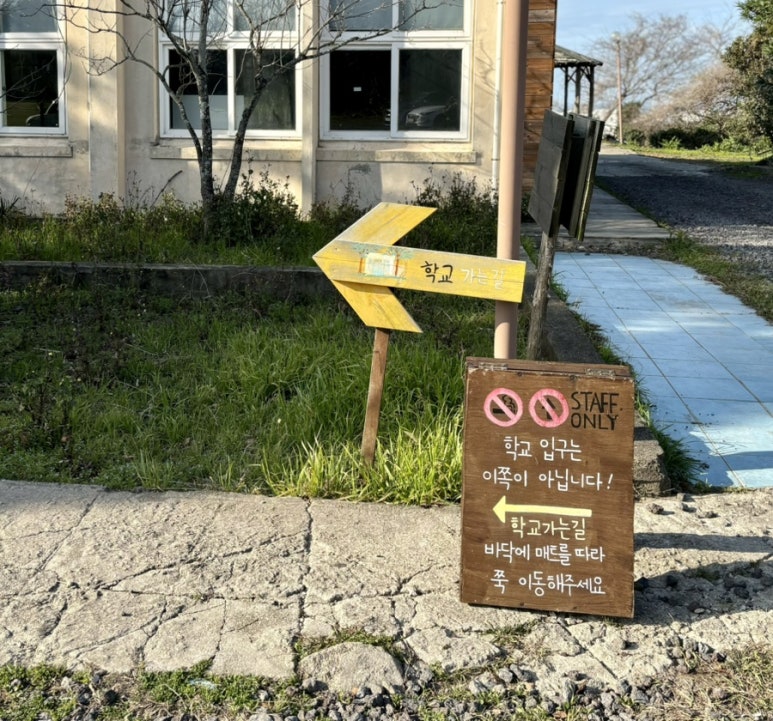IMG 7747