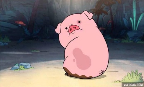 하이푸드 이미지