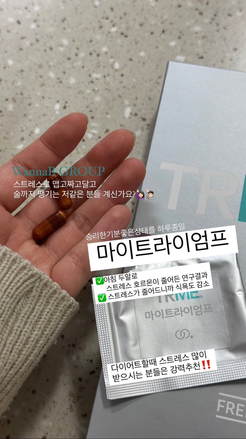 트라이엄프뉴)트라이엄프뉴 이미지