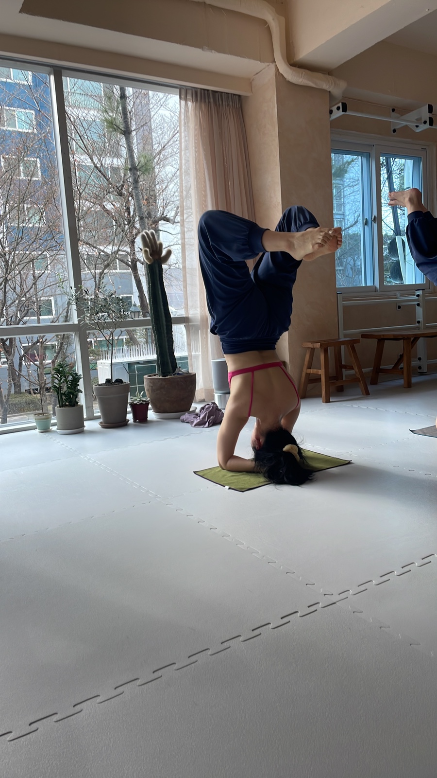 토요요 이미지