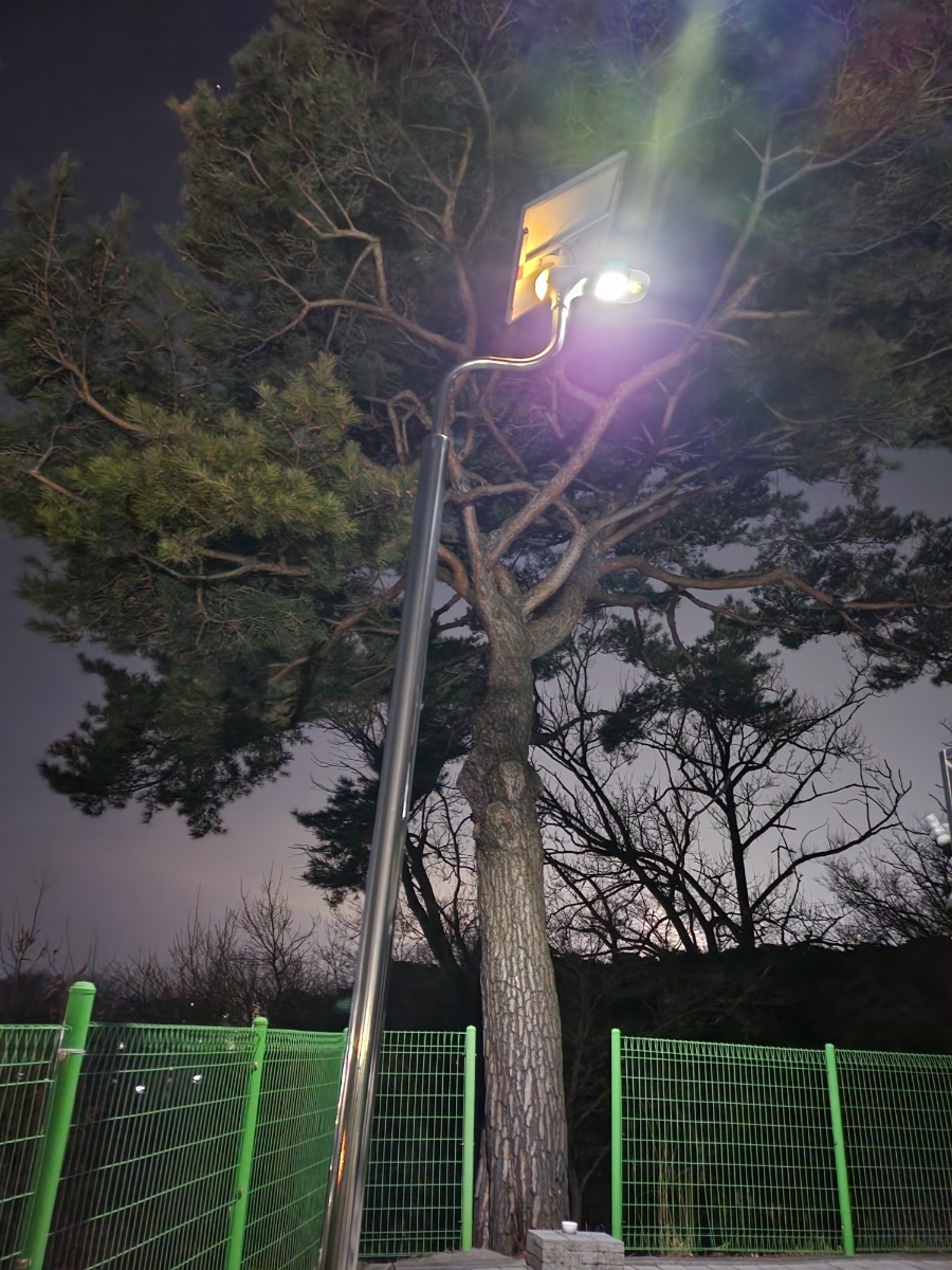 선주당주 이미지