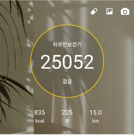 진하해수욕장2 이미지