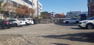민주수경재배꽃집 이미지
