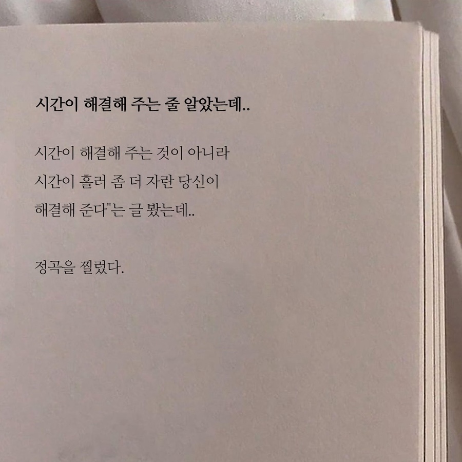 하얀목장 이미지