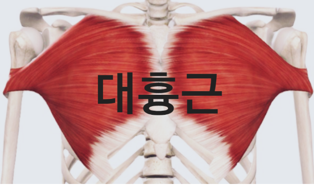 더좋은피트니스 이미지