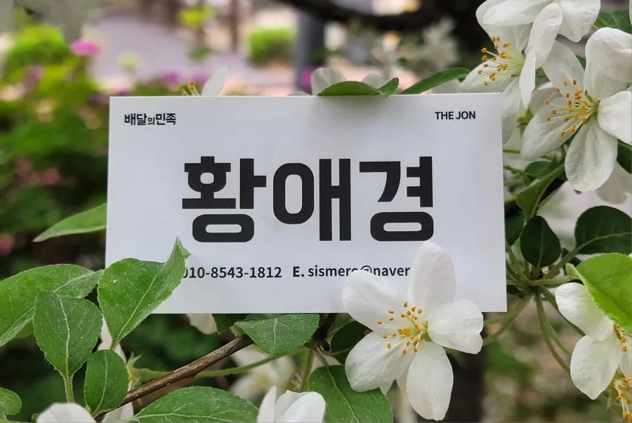 피자스쿨역사점 이미지