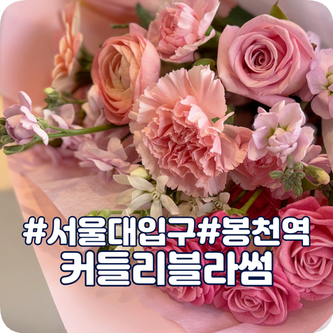 커들리블라썸 이미지